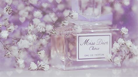 dior hintergrundbilder|dior miss background.